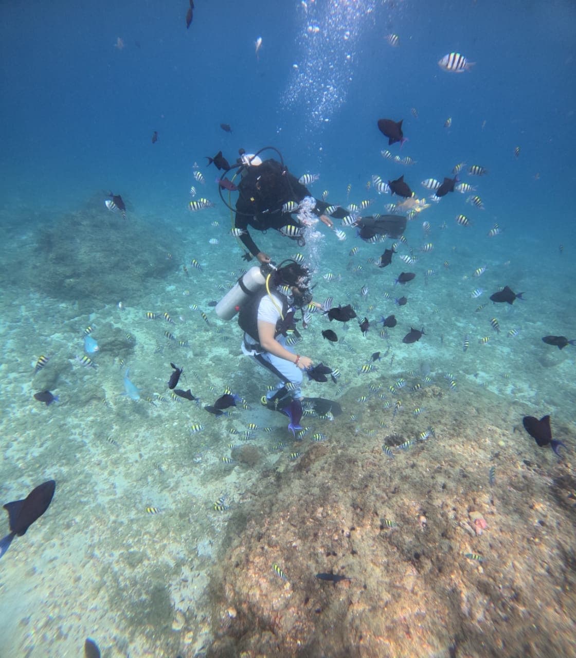 Crystal clear waters of Netrani Island
