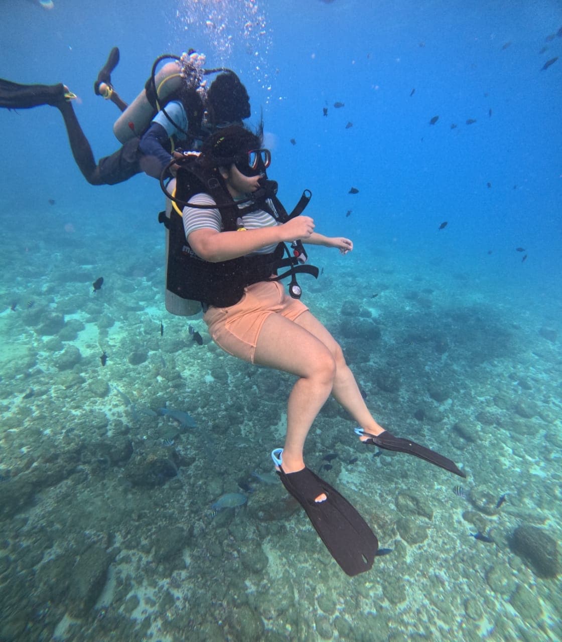 Professional diving experience