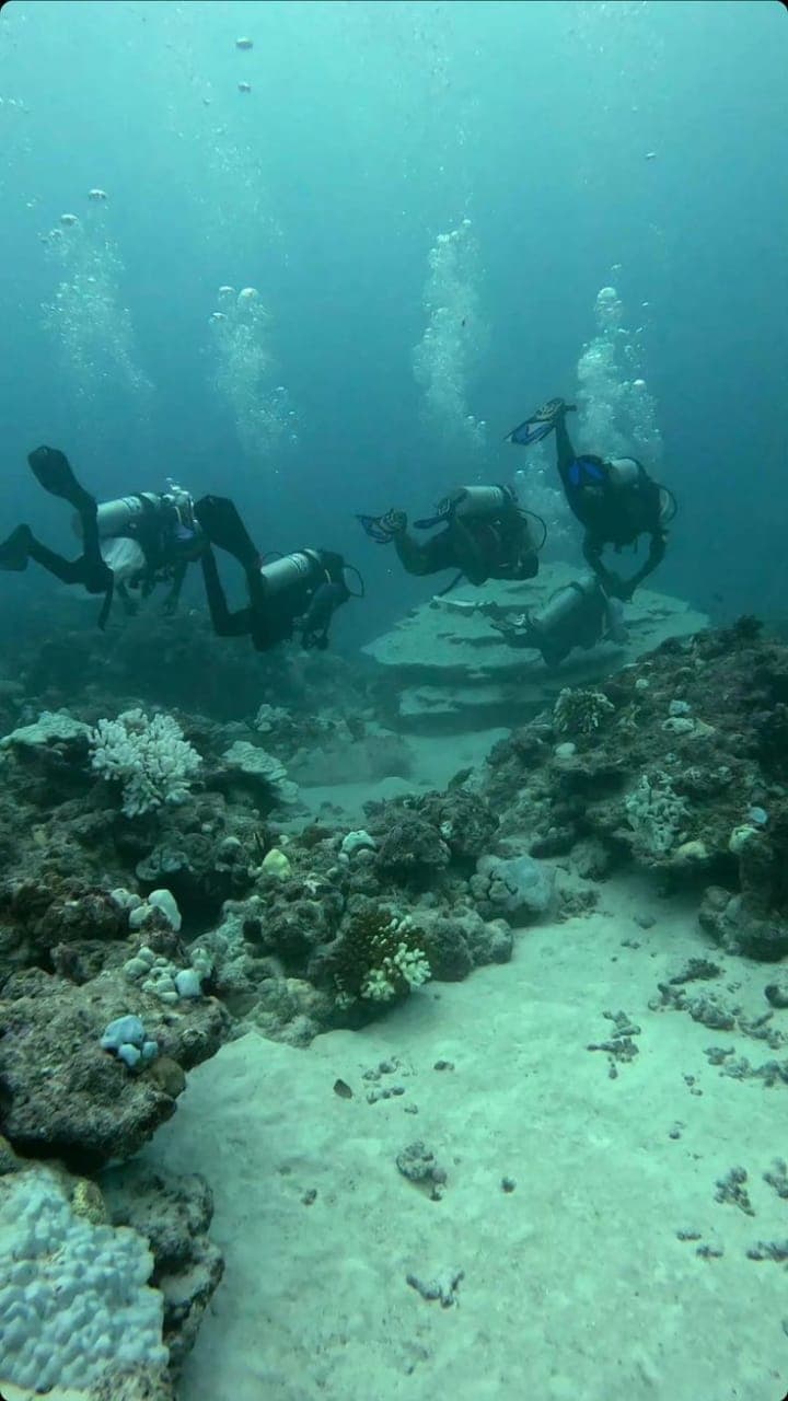 Deep dive Netrani experience